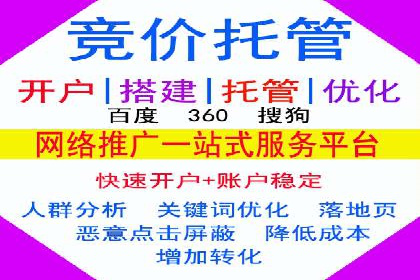 SEM主管实战：数据分析与策略调整